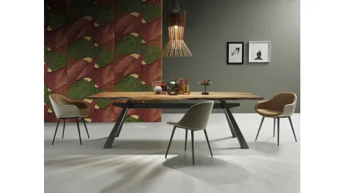 Tavolo Zeus in Rovere di Midj